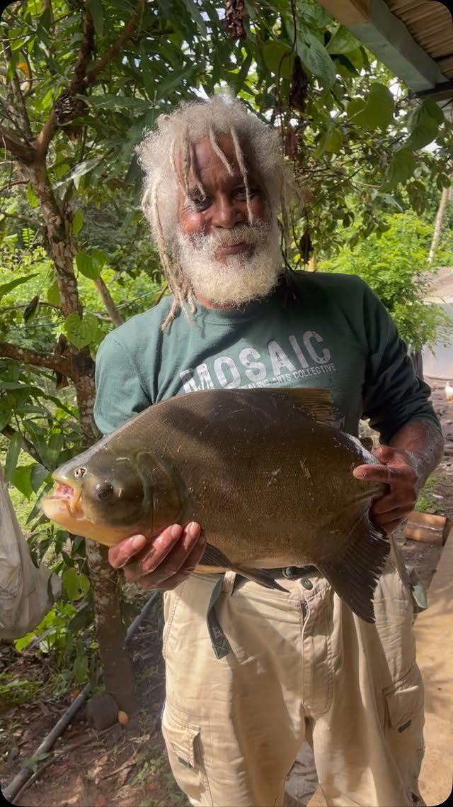 Life and abundance at Kilombo Tenondé farm